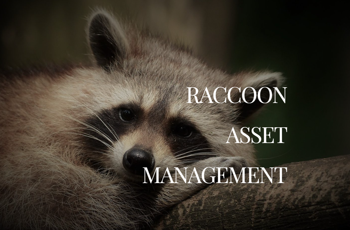 라쿤자산운용 로고